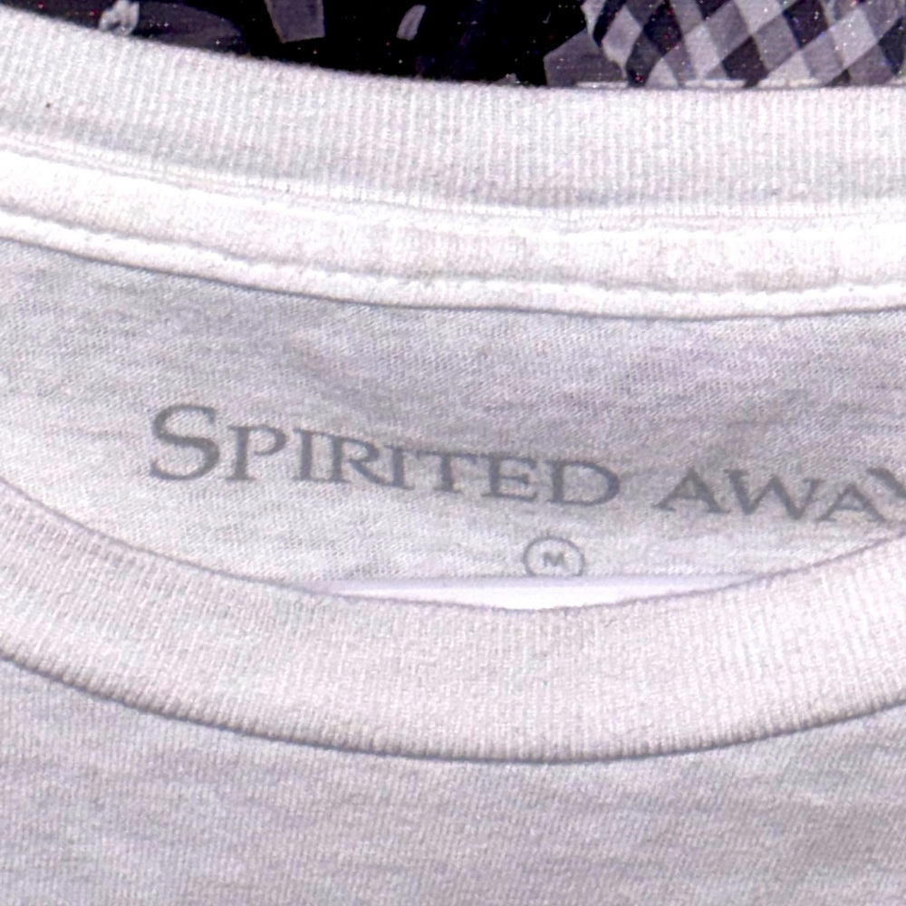 ๋࣭⭑ spirited away graphic T-shirt oversized long - Picture 3 of 3